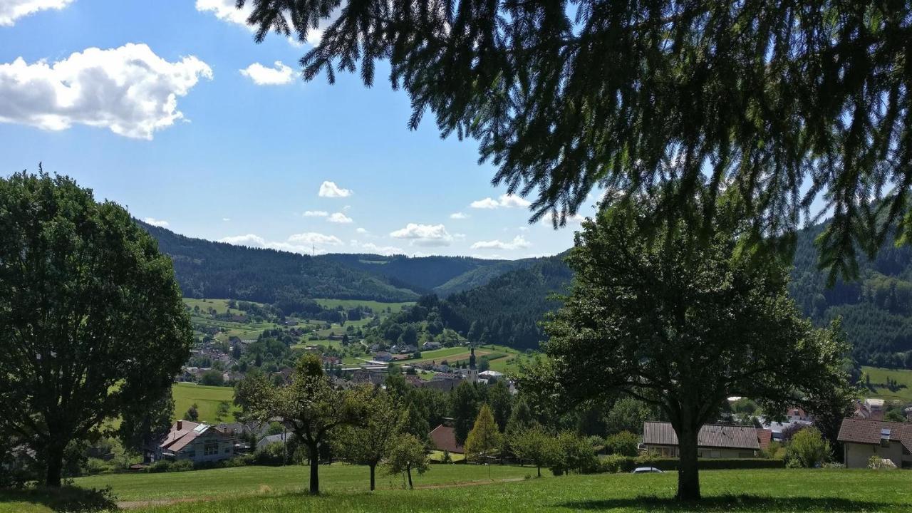 Schwarzwaelder Ferienwohnungen Seelbach  Buitenkant foto