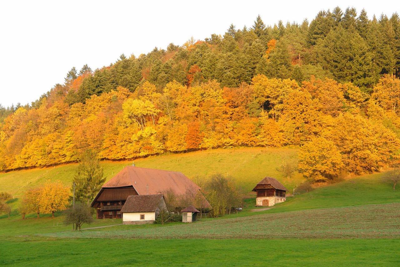 Schwarzwaelder Ferienwohnungen Seelbach  Buitenkant foto