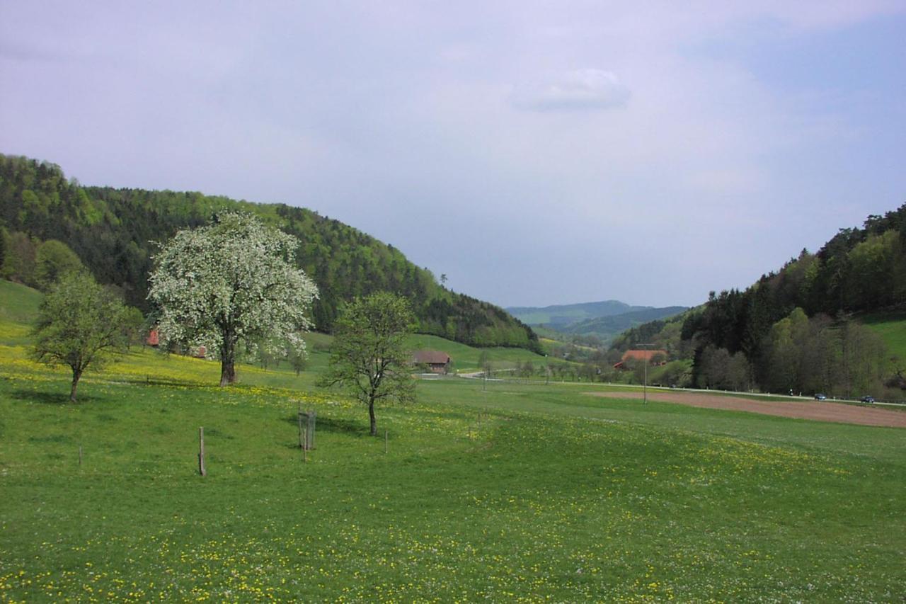 Schwarzwaelder Ferienwohnungen Seelbach  Buitenkant foto