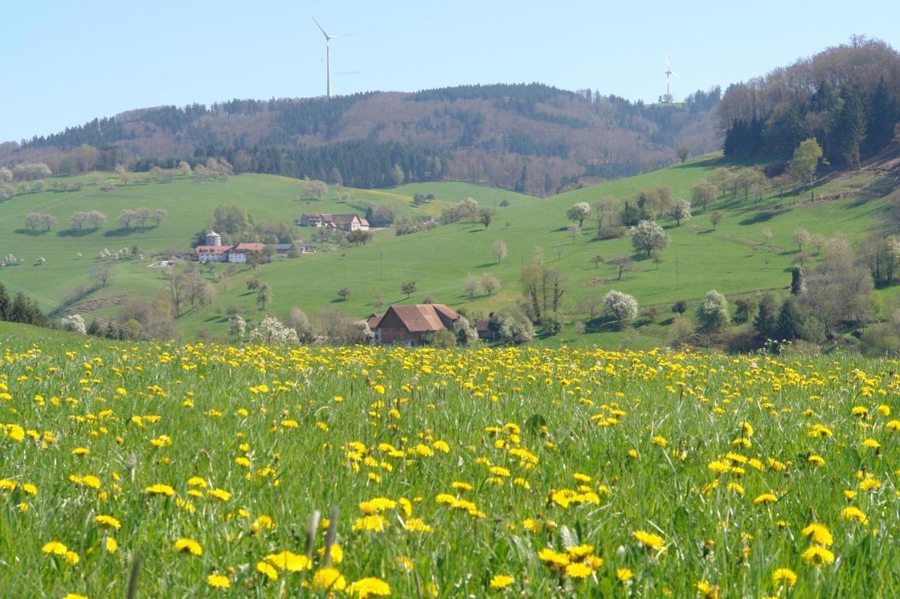 Schwarzwaelder Ferienwohnungen Seelbach  Buitenkant foto